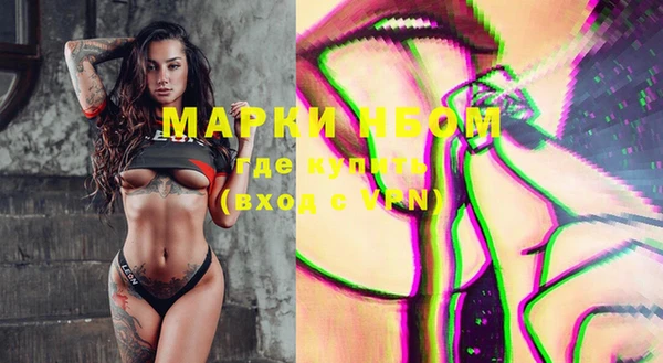 шишки Алзамай