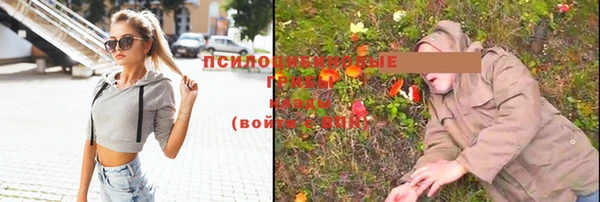 шишки Алзамай