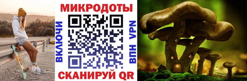 Псилоцибиновые грибы Cubensis  цена   Глазов 