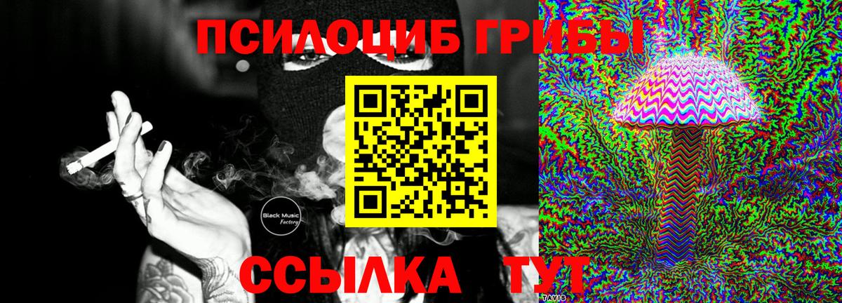 Псилоцибиновые грибы Psilocybe  Вход с VPN  Глазов 