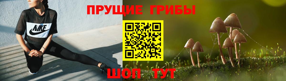 Галлюциногенные грибы Cubensis Глазов